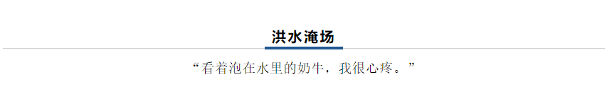 【乳報·聚焦】“豫”難而上的中原牛人“太中了”！