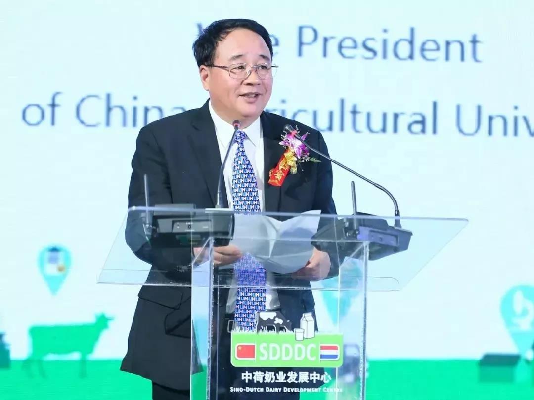 SDDDC走進(jìn)河南，看看花花牛的國際范兒！