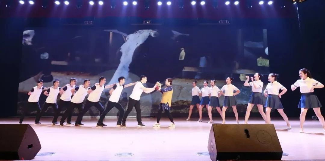 “贏在2019”，花花牛乳業(yè)集團(tuán)2019年新春晚會(huì)盛大開幕