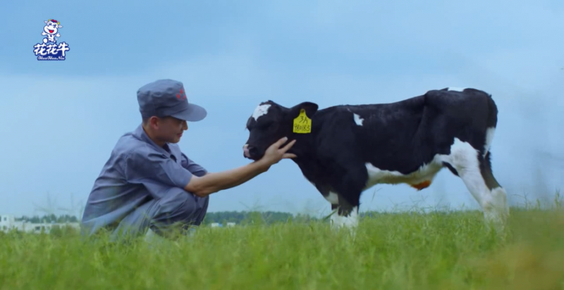 中國動物衛(wèi)生流調(diào)中心首席科學家范偉興一行蒞臨花花牛郟縣發(fā)展、魯山瑞亞參觀調(diào)研